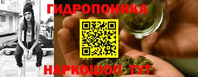 дурь Кандалакша