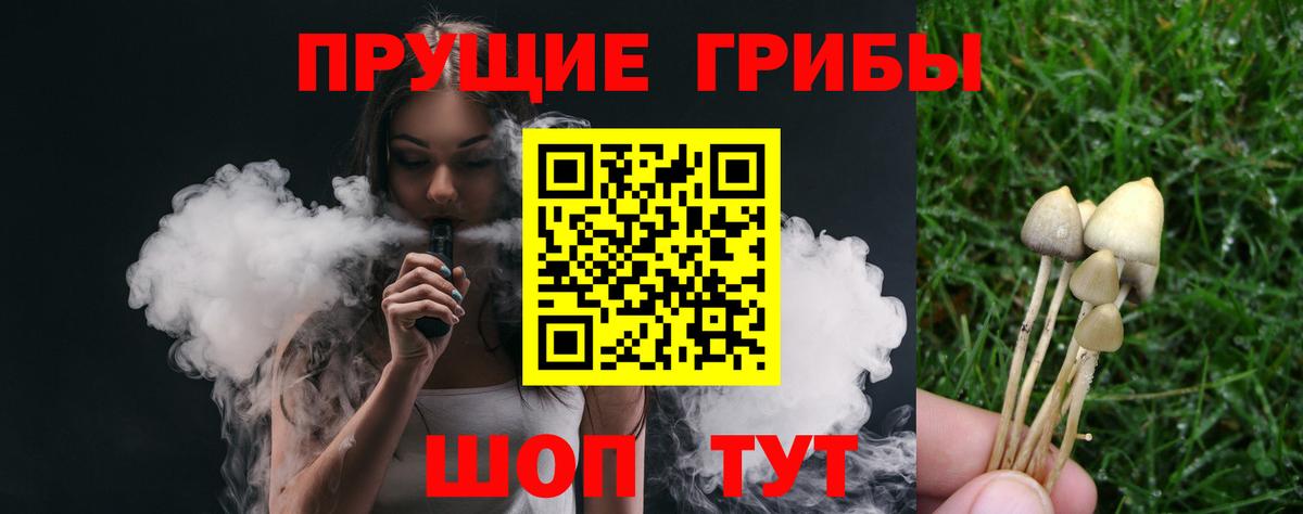 Псилоцибиновые грибы Psilocybe  Вход с VPN  Югорск 